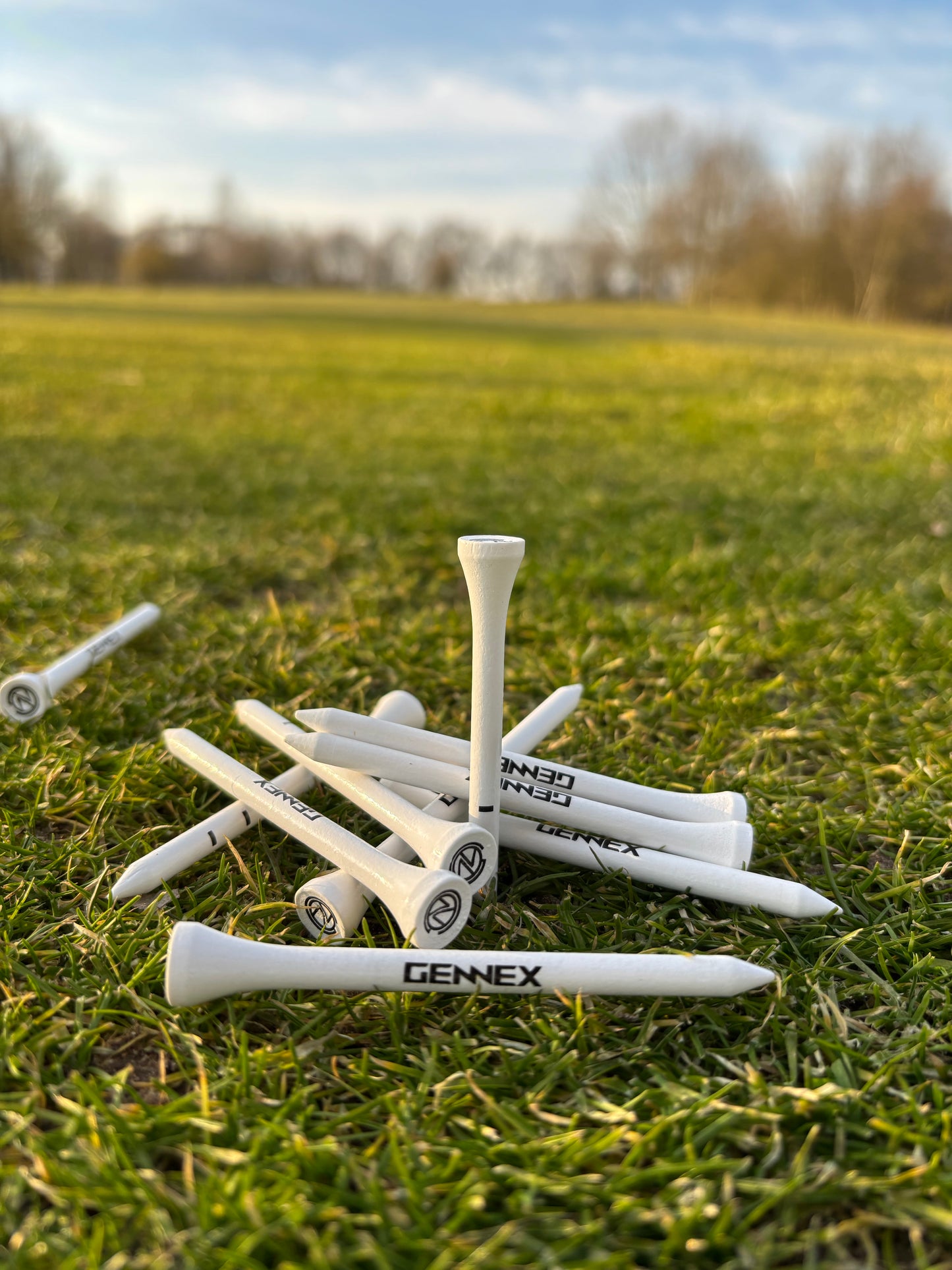 Golf-Tees 50er-Paket