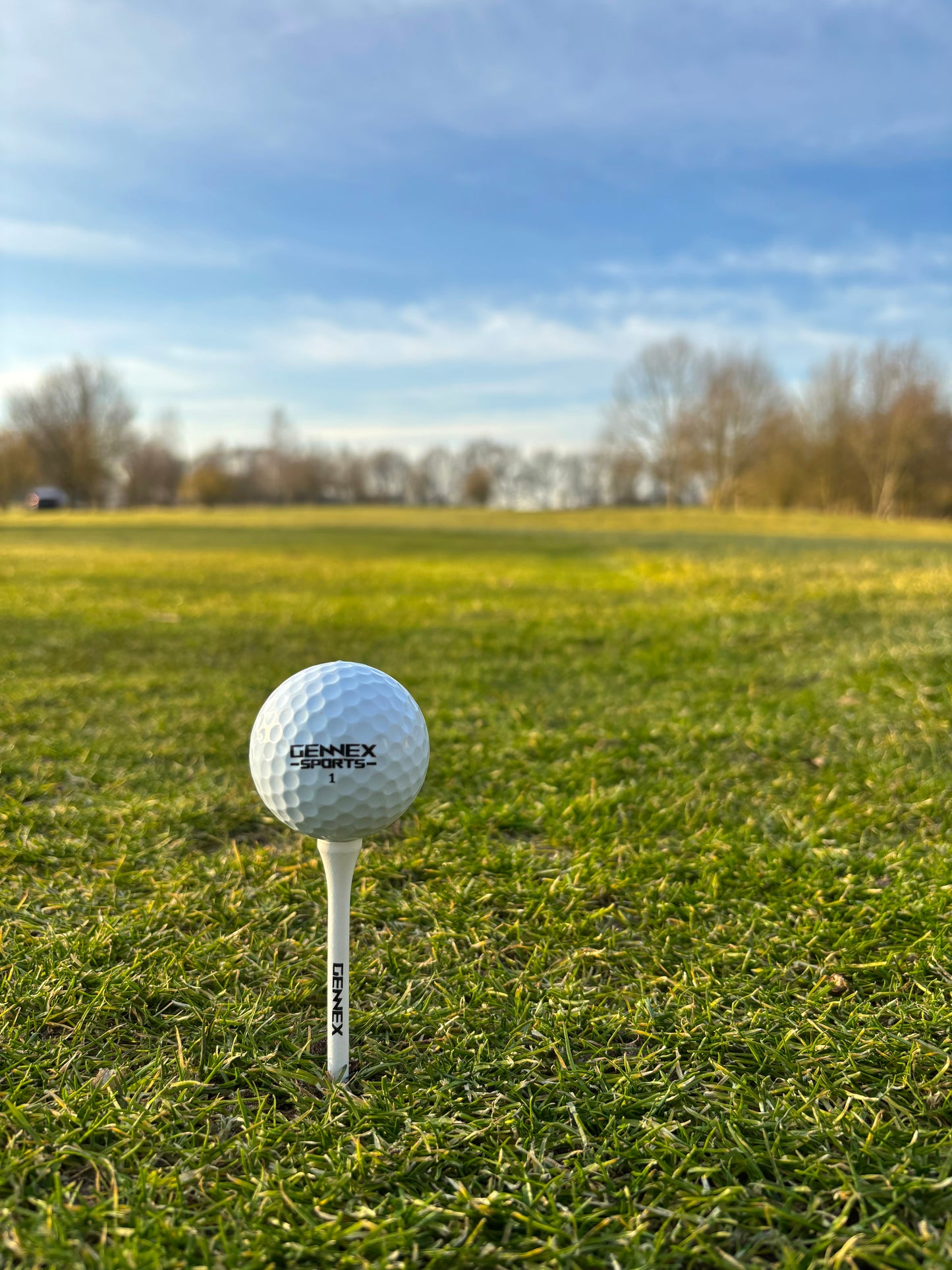 Golf-Tees 50er-Paket