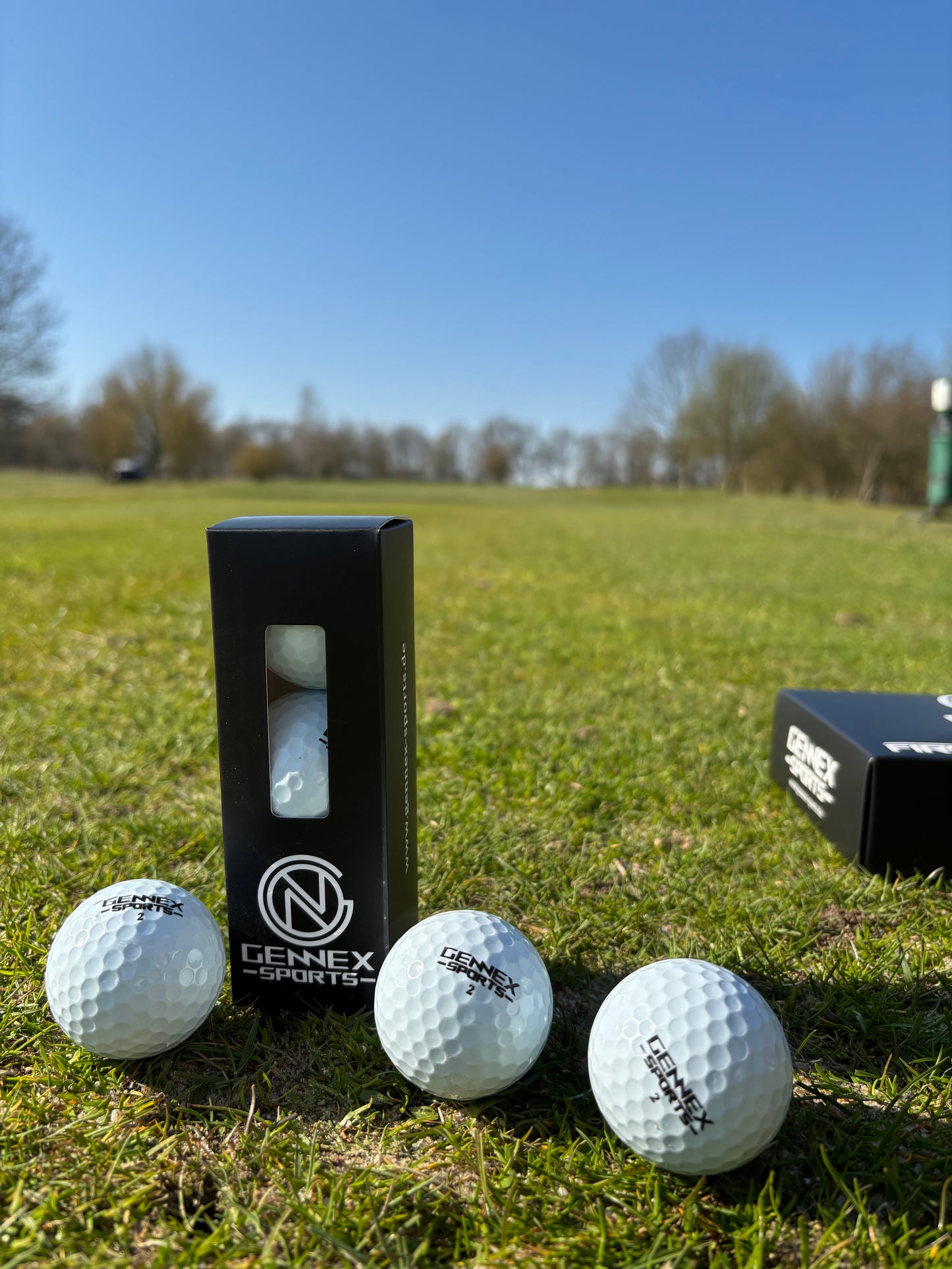 Golfbälle 12er-Paket